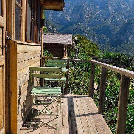 Отель Olive Garden Kabak Фаралия Экстерьер фото