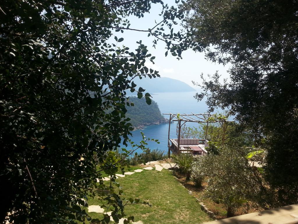 Отель Olive Garden Kabak Фаралия Экстерьер фото
