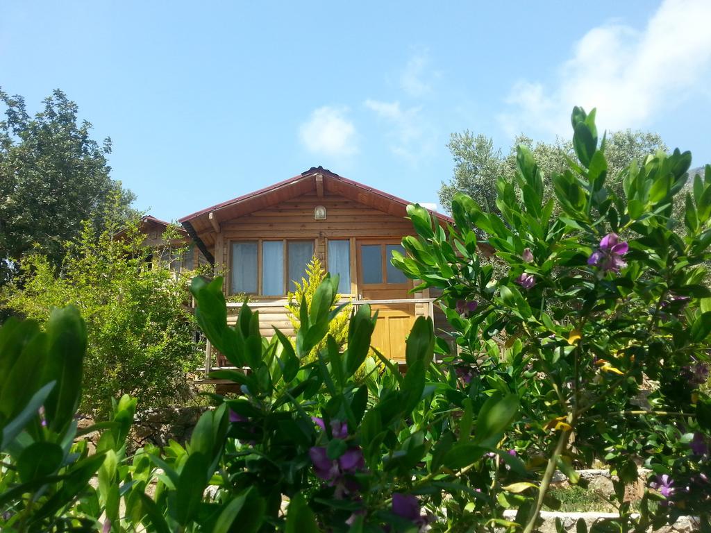 Отель Olive Garden Kabak Фаралия Экстерьер фото