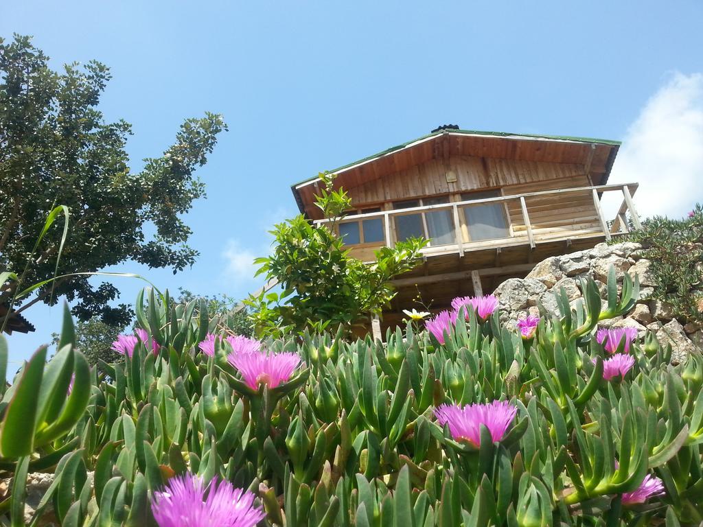 Отель Olive Garden Kabak Фаралия Экстерьер фото