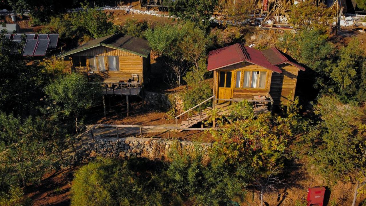 Отель Olive Garden Kabak Фаралия Экстерьер фото