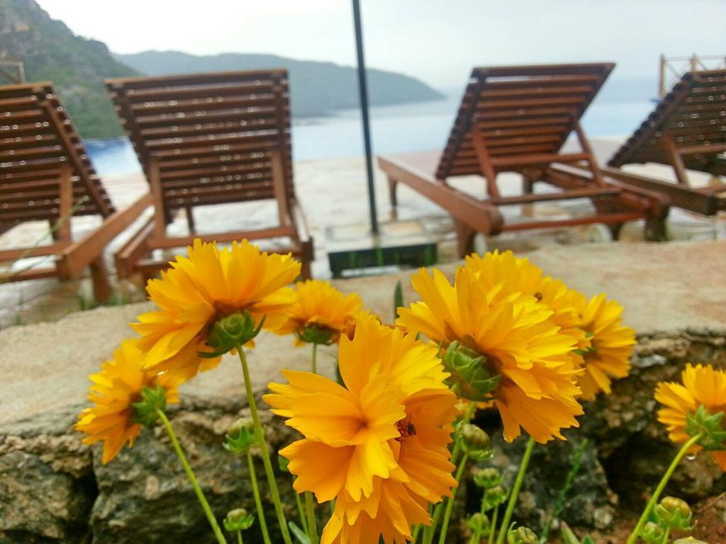 Отель Olive Garden Kabak Фаралия Экстерьер фото