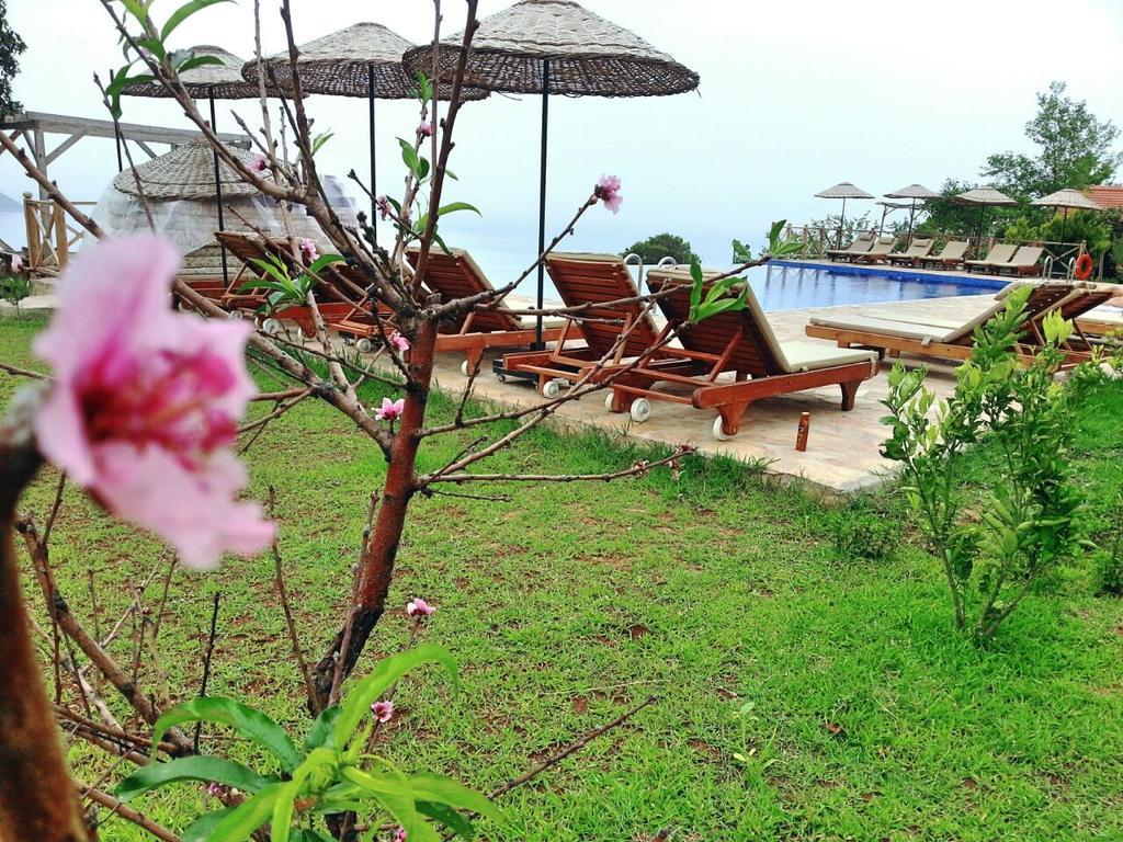 Отель Olive Garden Kabak Фаралия Экстерьер фото