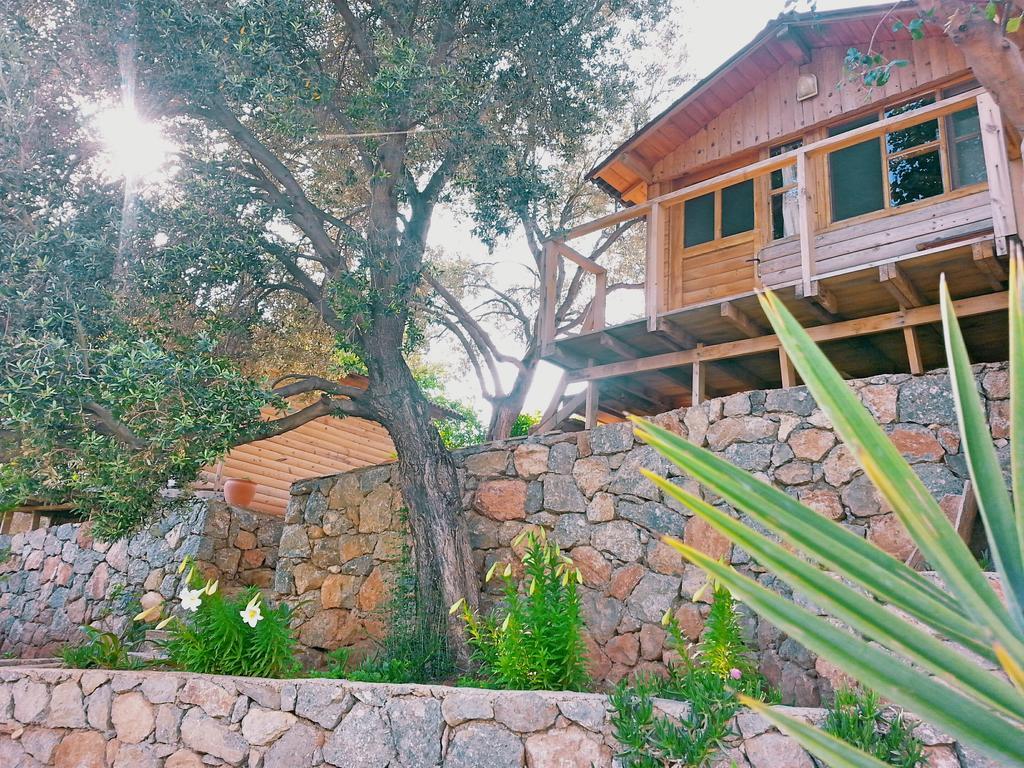 Отель Olive Garden Kabak Фаралия Экстерьер фото