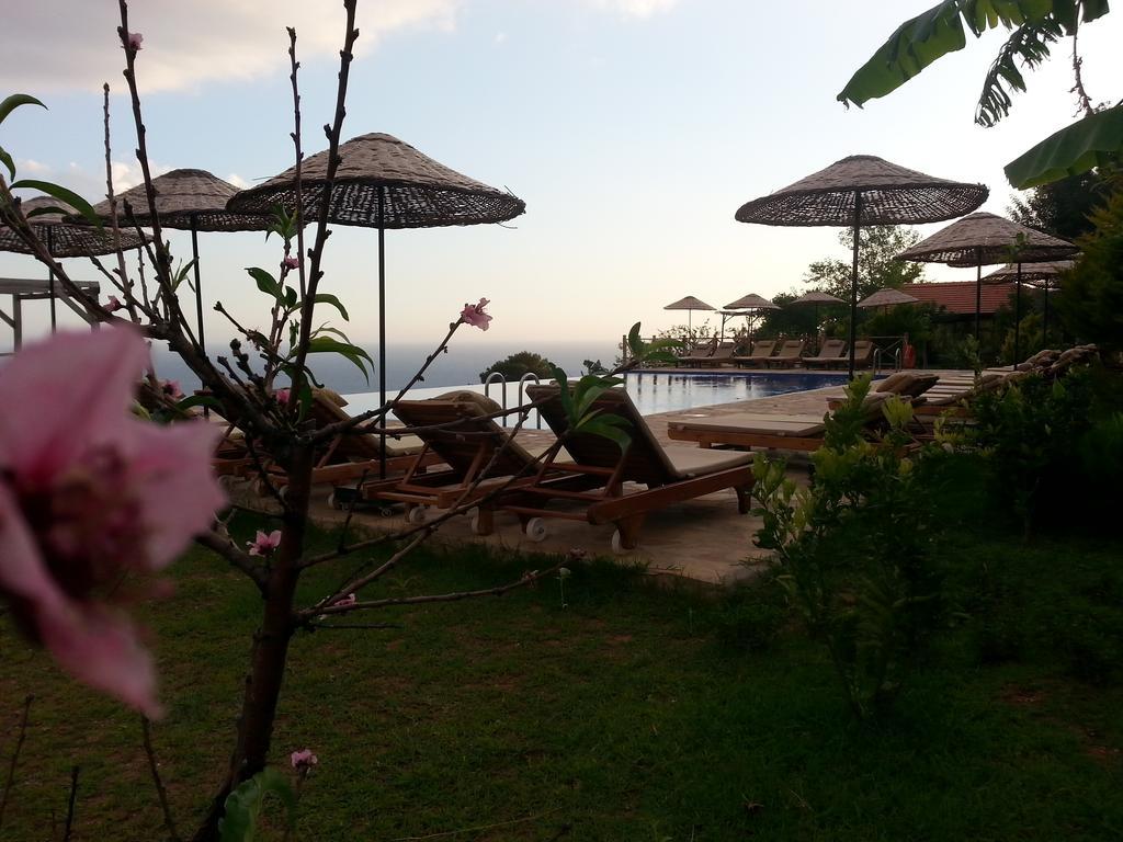 Отель Olive Garden Kabak Фаралия Экстерьер фото