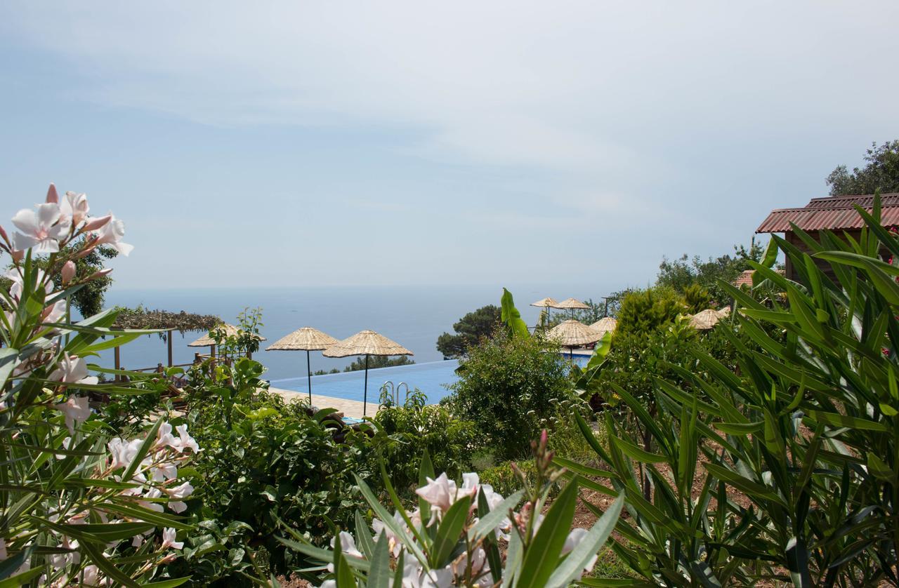 Отель Olive Garden Kabak Фаралия Экстерьер фото